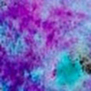 Meet your Posher, Robert bisson